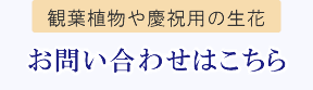 電話でのご注文の方はこちら