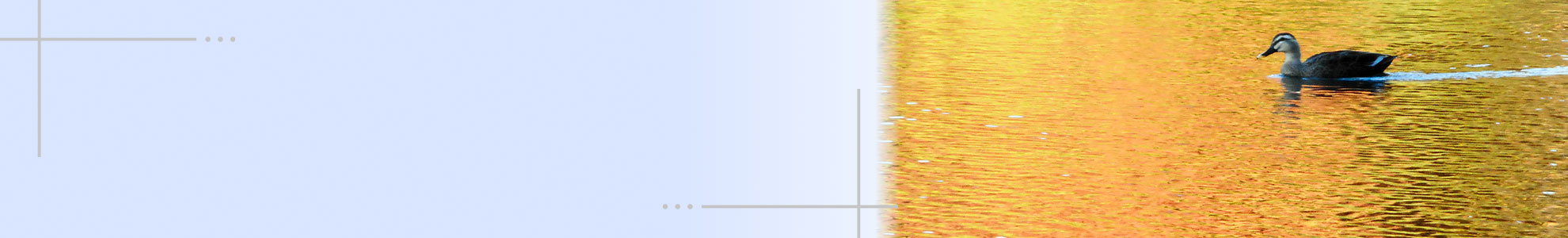 日典 ページイメージ