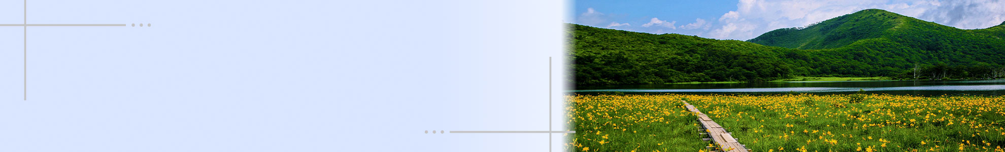 日典 ページイメージ