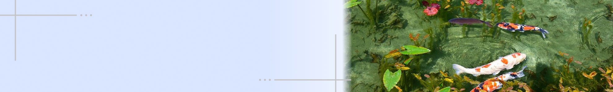 日典 ページイメージ