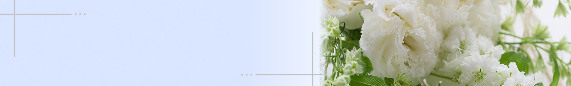 日典　ページイメージ